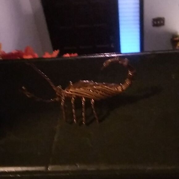 Wire Scorpion  - Picture 1 of 6